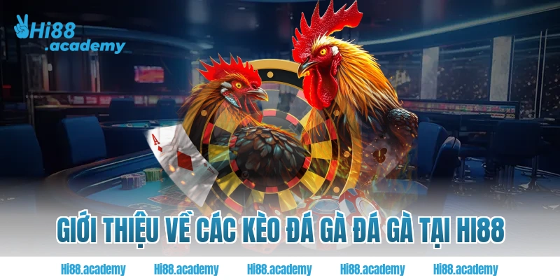 Giới thiệu về các kèo đá gà đá gà hi88
