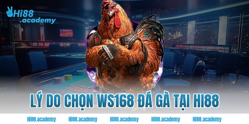 Lý do chọn WS168 ĐÁ GÀ tại Hi88