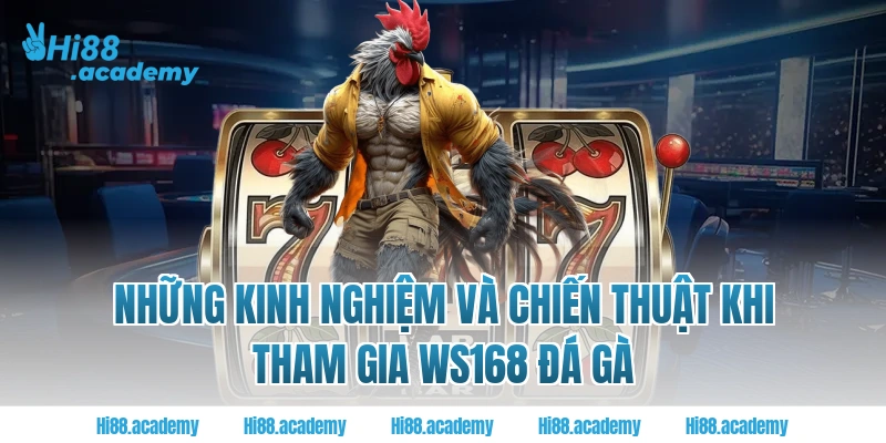 Những kinh nghiệm và chiến thuật khi tham gia WS168 Đá Gà